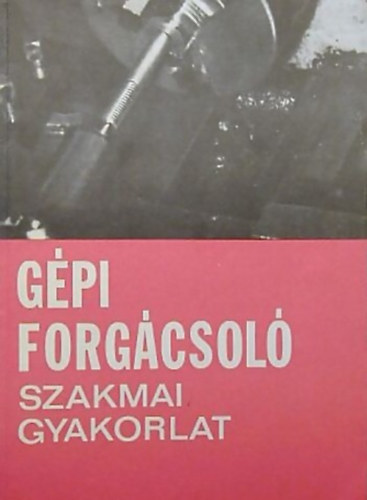 Duds Istvn - GPI FORGCSOL SZAKMAI GYAKORLAT