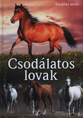 Csodálatos lovak
