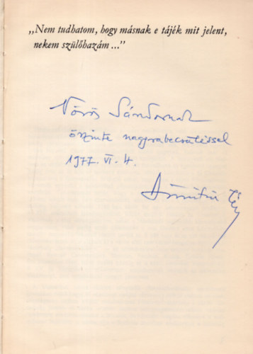 Dömötör János - Vásárhely műemlékei épületei