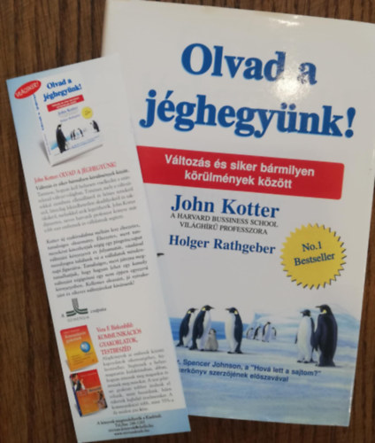 John Kotter - Olvad a j�ghegy�nk!