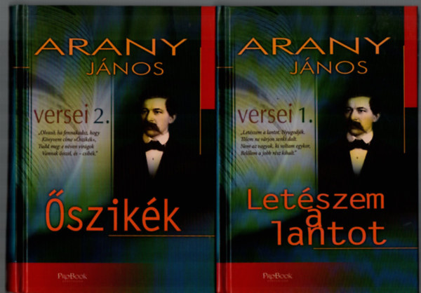 Arany J�nos - Arany J�nos versei 1-2. (�szik�k, Let�szem a lantot)