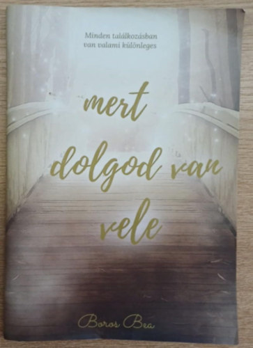Boros Bea - Mert dolgod van vele