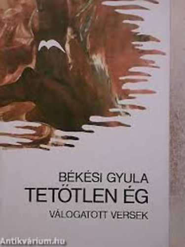 Békési Gyula - Tetőtlen ég