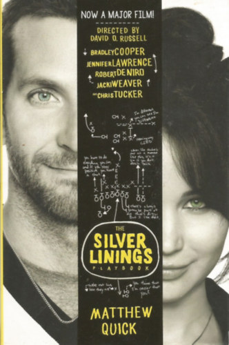 Matthew Quick - The Silver Linings Play Book