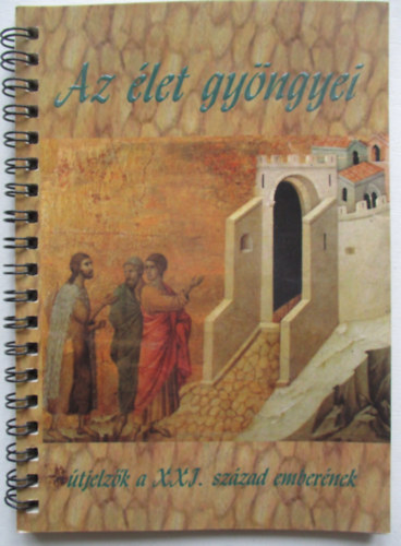 Kat� Csaba; Kat� Zsolt  (szerk.) - Az �let gy�ngyei (�tjelz�k a XXI. sz�zad ember�nek)