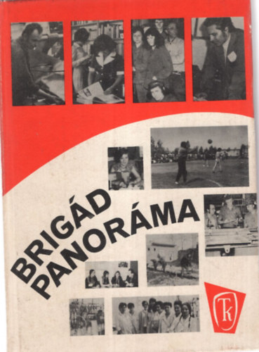 dr. Újváry György - Brigád panoráma