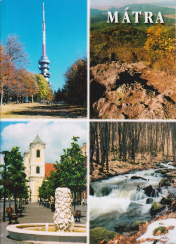 Berki-Feh�r-Fubola-L�di-T�th - M�tra �tik�nyv