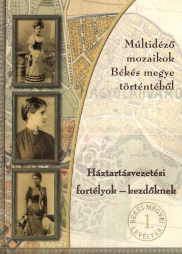 Hjja Julianna Erika - Hztartsvezetsi fortlyok- kezdknek ( Mltidz mozaikok Bks megye trtnetbl )