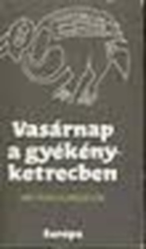 Európa Könyvkiadó - Vasárnap a gyékényketrecben (mai perui elbeszélők)