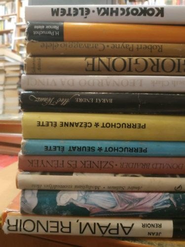 Perruchot, Barát Endre, Kenneth Clark, Láng György, André Salmon, Donald Braider, Robert Payne, Jean Renoir - 12 db festészet: Giorgione; Caravaggio élete; Renoir élete; Életem; Apám, Renoir; Primavera; Modigliani szenvedélyes élete; Színek és fények; Seurat élete; Cézanne élete; Alvó Vénusz; Leonardo Da Vinci