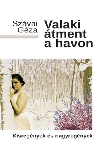 Szvai Gza - Valaki tment a havon