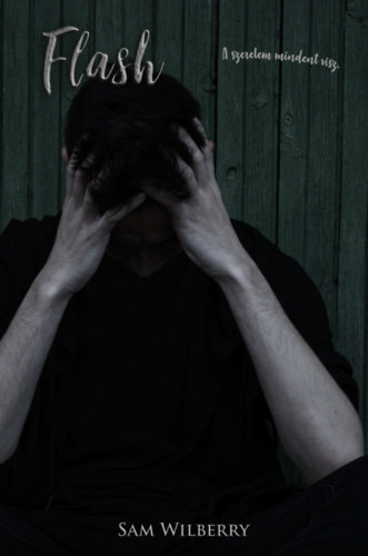 Sam Wilberry - Flash