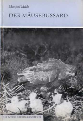 Manfred Melde - Der M�usebussard (Buteo buteo buteo (L.))