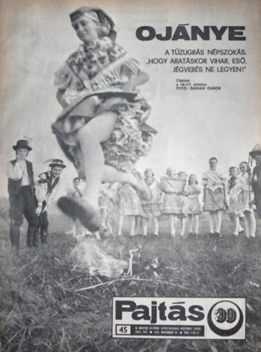 Vasv�ri Ferenc  (szerk.) - Pajt�s XXXI. �vfolyam 45. sz�m