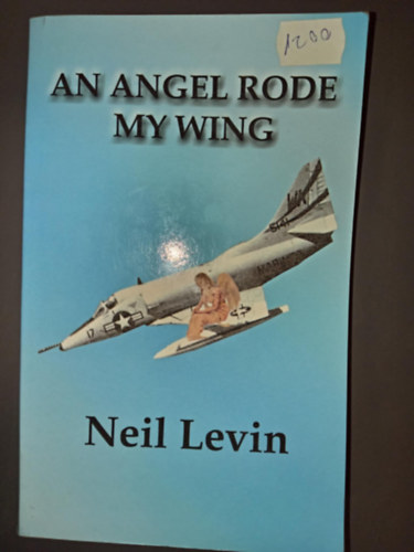 Neil Levin - An Angel Rode My Wing (Dedik�lt p�ld�ny!)