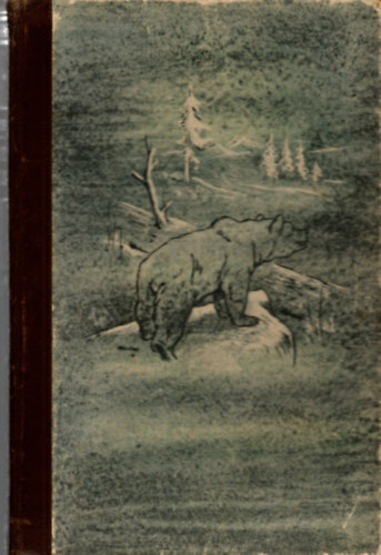 Witting Emil - Frate Nicolae der siebenbürgische Karpathenbar lebensgeschichte (Az erdélyi kárpáti medve)