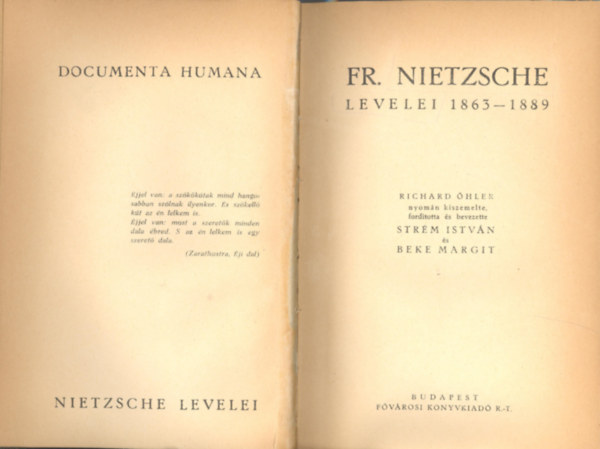 Friedrich Nietzsche - Friedrich Nietzsche levelei 1863-1889