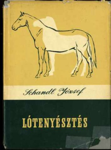 Schandl J�zsef - L�teny�szt�s