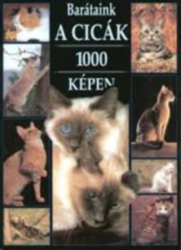 Bartaink a cick 1000 kpen