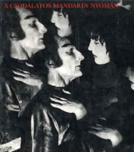 Gink Károly- Keresztury Dezső - A csodálatos mandarin nyomán - Változatok Bartók színpadi műveire