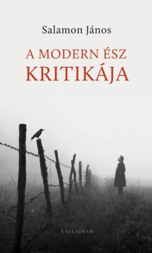 Salamon Jnos - A modern sz kritikja