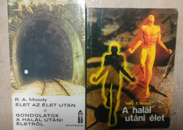 Mary T. Brown Raymond A. Moody - �let az �let ut�n - Gondolatok a hal�l ut�ni �letr�l  A hal�l ut�ni �let