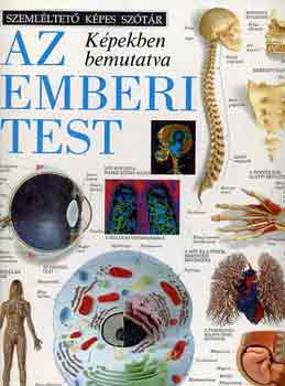 Chez Picthall - Az emberi test képekben bemutatva (Szemléltető képes szótár)