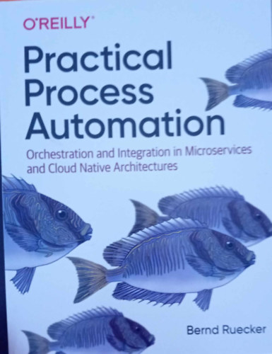 Practical Process Automation: Orchestration and Integration in Microservices and Cloud Native Architectures