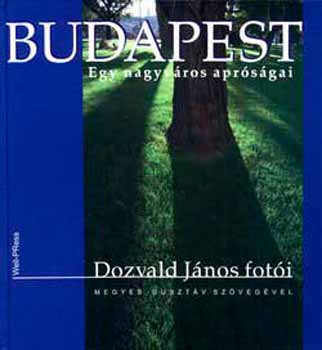 Megyesi Gusztv - Budapest - Egy nagyvros aprsgai