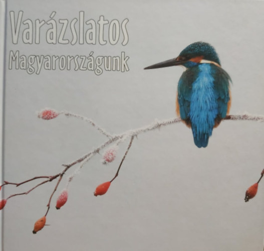 Gal Pter  (szerk.) - Varzslatos Magyarorszgunk