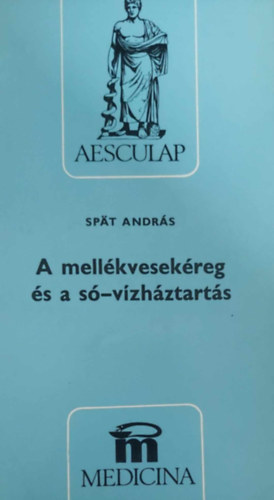Spt Andrs - A mellkvesekreg s a s-vz hztarts