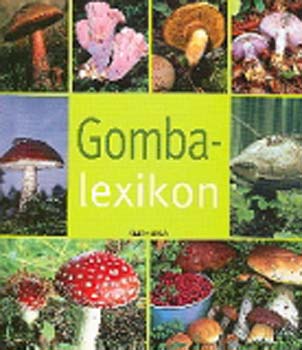 Hansw. Kothe - Gombalexikon