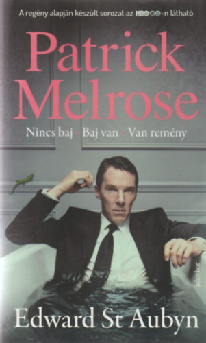 Edward St. Aubyn - Nincs baj - Baj van - Nincs remény