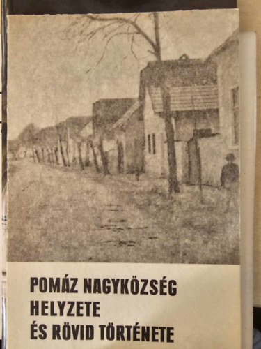 Balogh Gyula - Pom�z nagyk�zs�g helyzete �s r�vid t�rt�nete