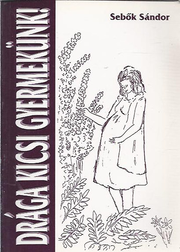 Sebk Sndor - Drga kicsi gyermeknk