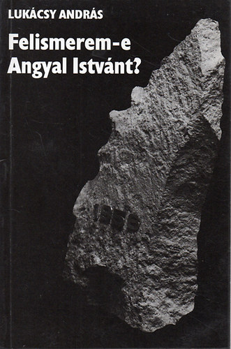 Lukcsy Andrs - Felismerem-e Angyal Istvnt?