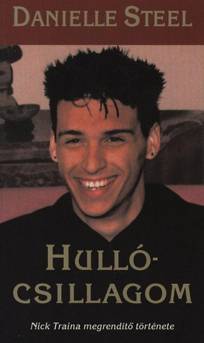 Danielle Steel - Hullcsillagom