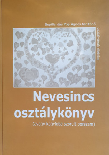 Pop gnes - Nevesincs osztlyknyv (avagy kagylba szorult porszem) - Bepillants Pop gnes tantn osztlynak letbe