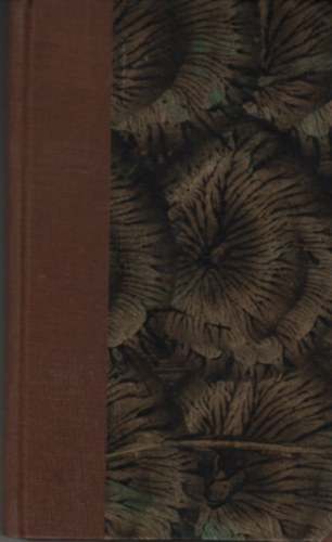 K�lnoki Izidor  (Vulpes) - �js�g�r�-iskola