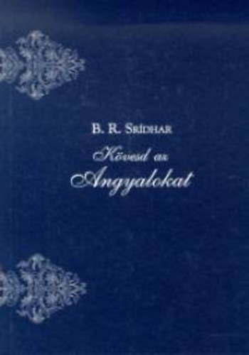 B.R. Srdhar - Kvesd az Angyalokat