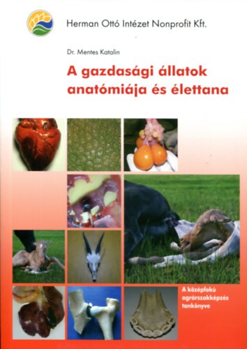 Dr. Mentes Katalin - A gazdas�gi �llatok anat�mi�ja �s �lettana