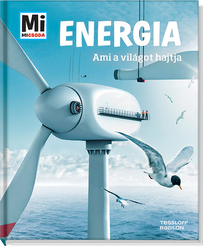 Laura Hennemann - Energia - Mi Micsoda