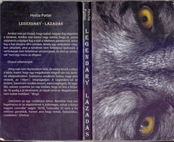 Hestia Potter - Lzads (Legendary 1.) (Dediklt)