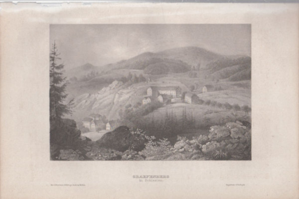 Graefenberg in Schlesiem (Grfenberg, Nmetorszg, Eurpa) (16x23,5 cm mret eredeti aclmetszet, 1856-bl)