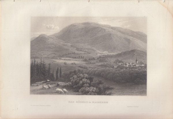 Bad Roznau in Maehren (Roznau frd Mahrenben, Nmetorszg, Eurpa) (16x23,5 cm lapmret eredeti aclmetszet, 1856-bl)