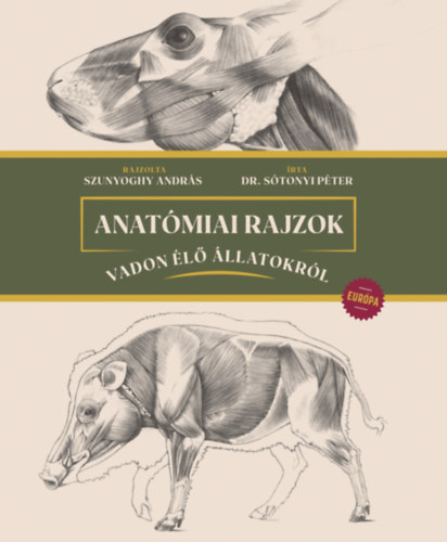 Stonyi Pter  (szerkeszt) - Anatmiai rajzok vadon l llatokrl - Eurpa