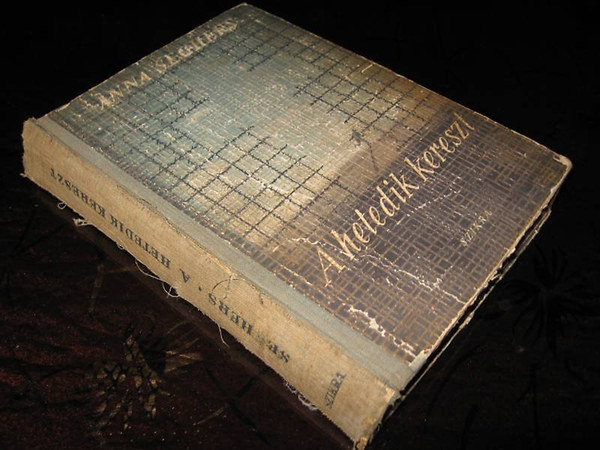 Anna Seghers - A hetedik kereszt