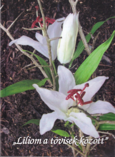Dr. Tapolyainé Bartha Gizella - Liliom a tövisek között