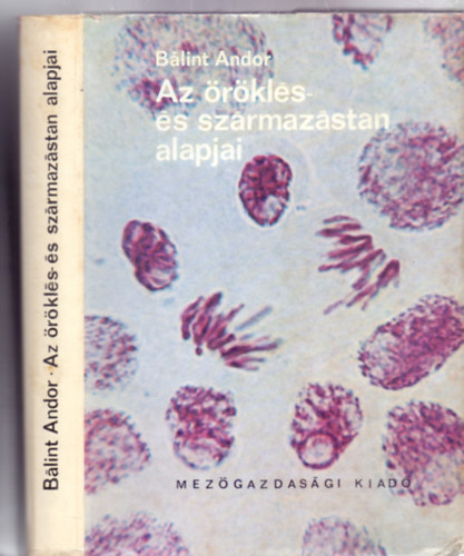 Blint Andor - Az rkls- s szrmazstan alapjai (Negyedik kiads - 206 brval)