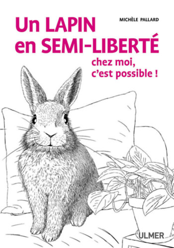 Michele Pallard - Un lapin en semi libert� chez moi c'est possible!